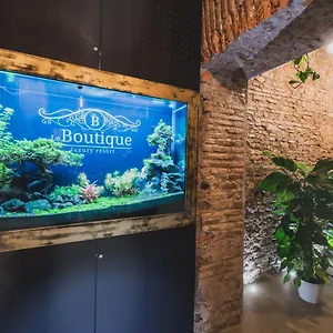 Le Boutique Luxury Diffused In Historic Center Penzion